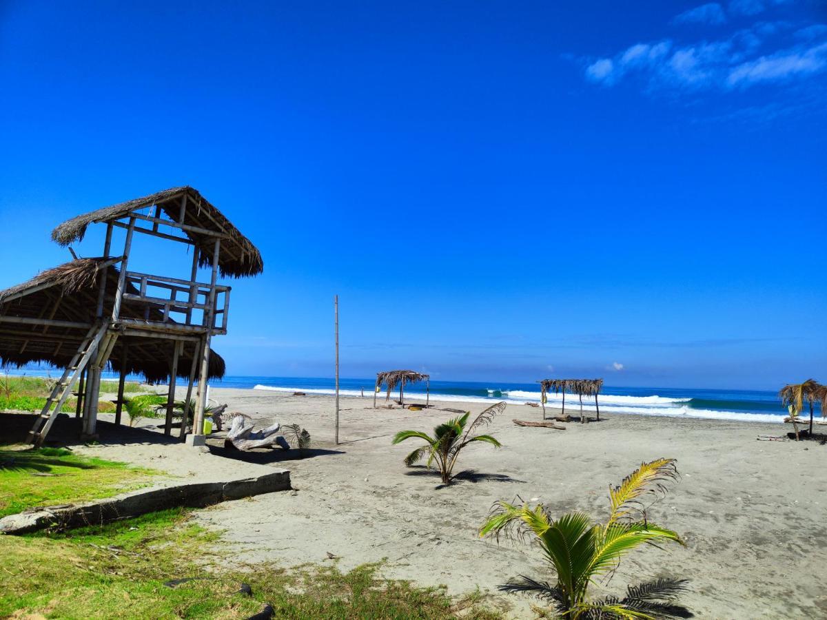 Hotel Punta Azul Pedernales Extérieur photo